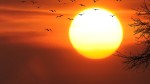 Image of sun like in the movie Apocalypse Now to illustrate how to understand our reaction in difficult times